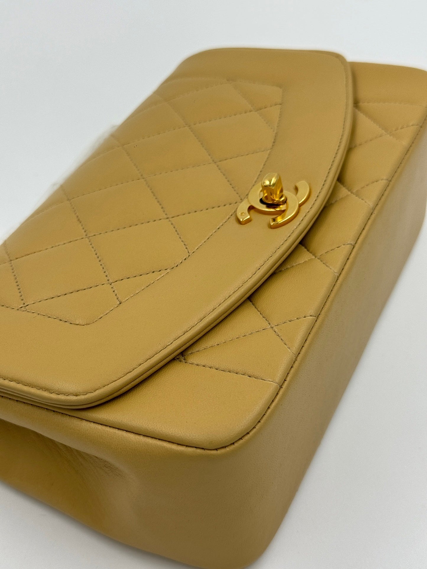 Chanel Diana 23cm bag / Rank A