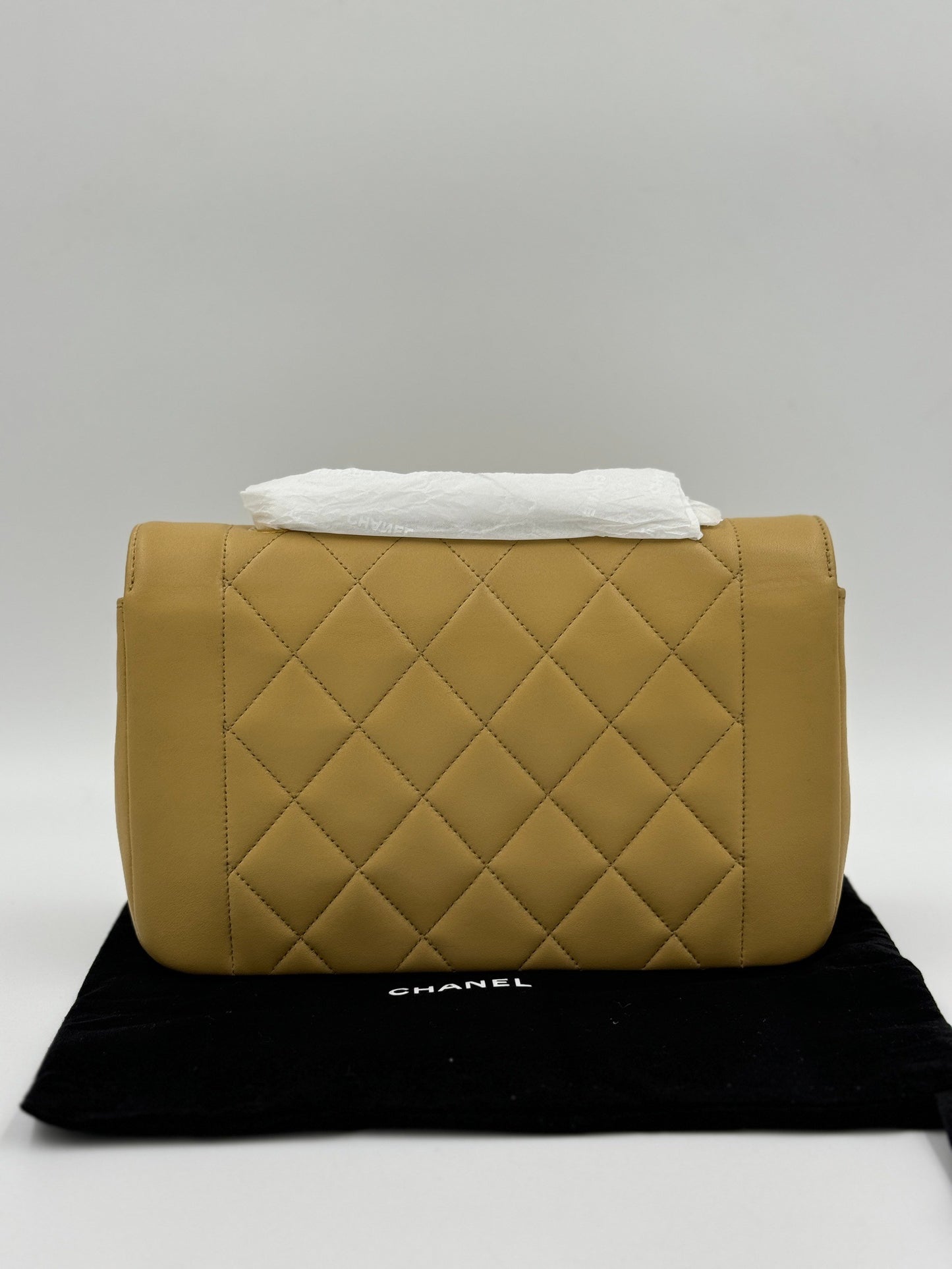 Chanel Diana 23cm bag / Rank A