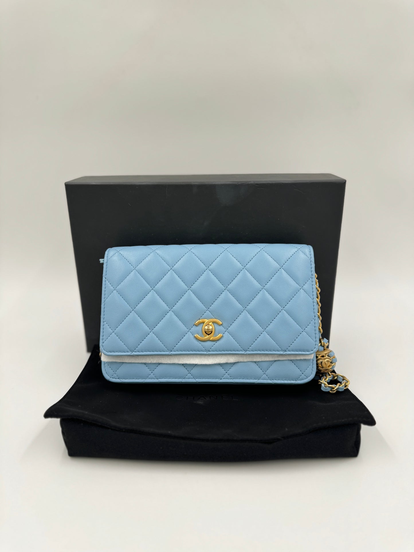 Chanel  Woc金球水藍色  /  Rank SA 24072502