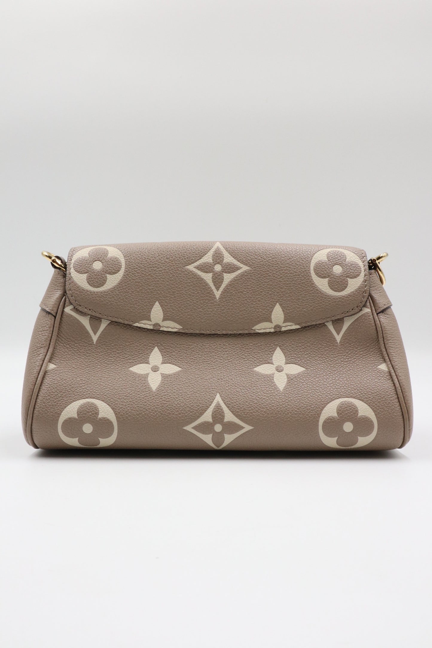 Louis Vuitton Favorite肩背包 / Rank SA 251030007
