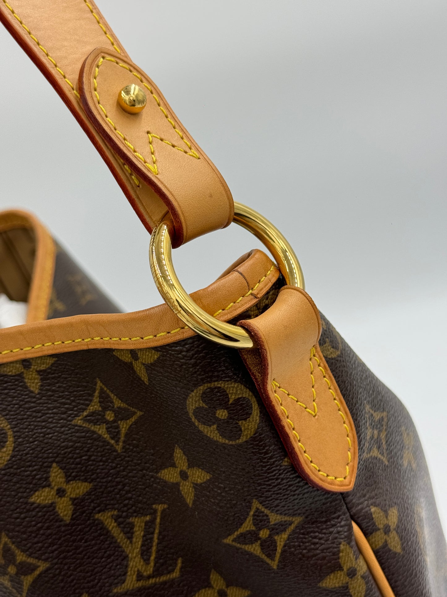 Louis Vuitton Delightful Pm / Rank A 24072004