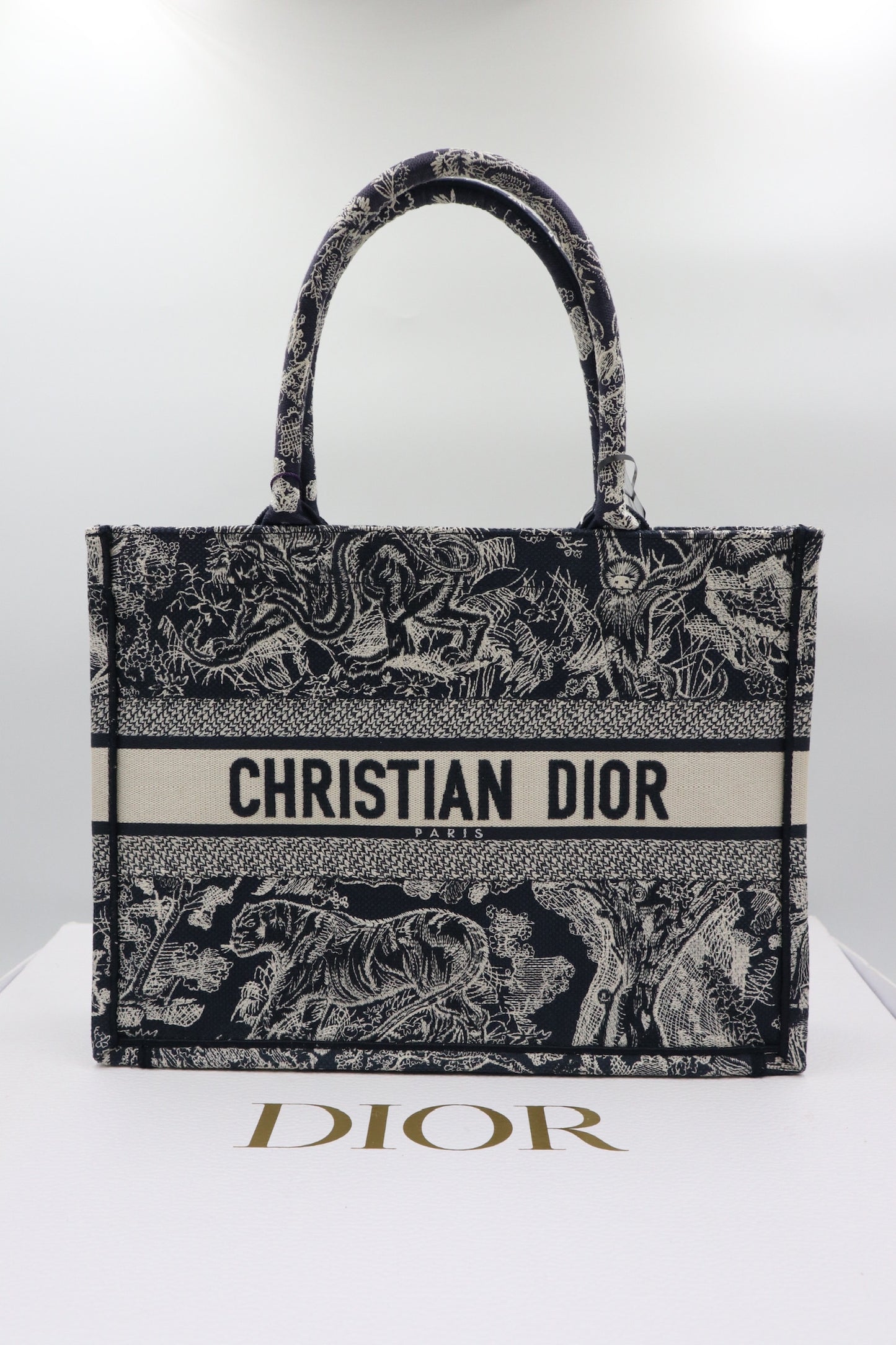 DIOR Tote Medium / Rank SA 251025007
