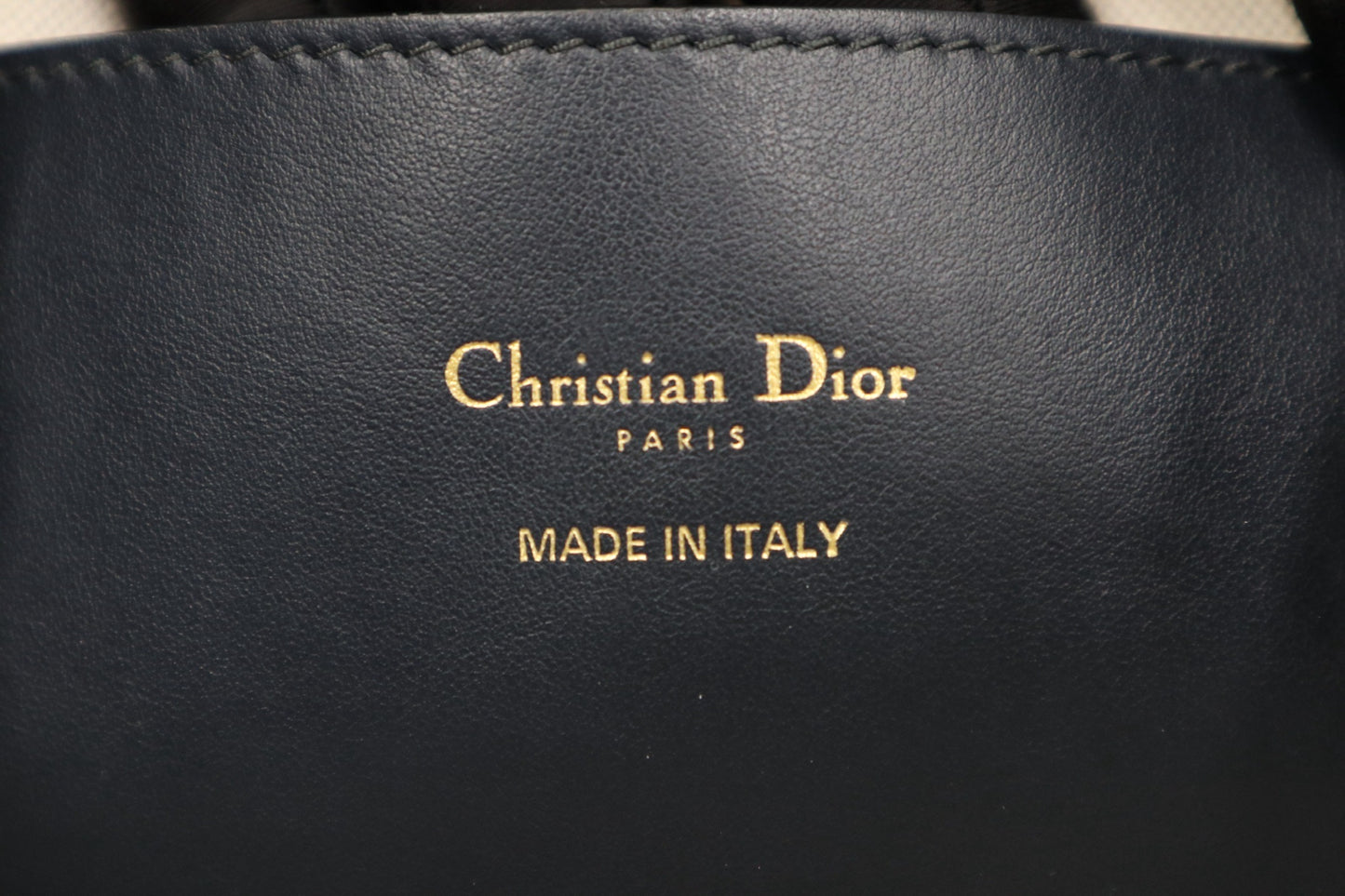 DIOR Signature 小號水桶包 / Rank SA 251024001