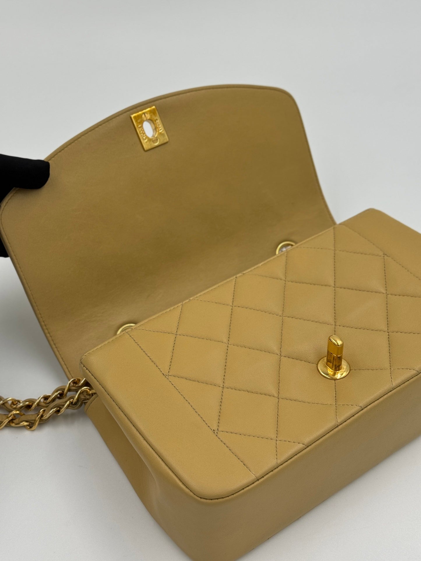 Chanel Diana 23cm bag / Rank A