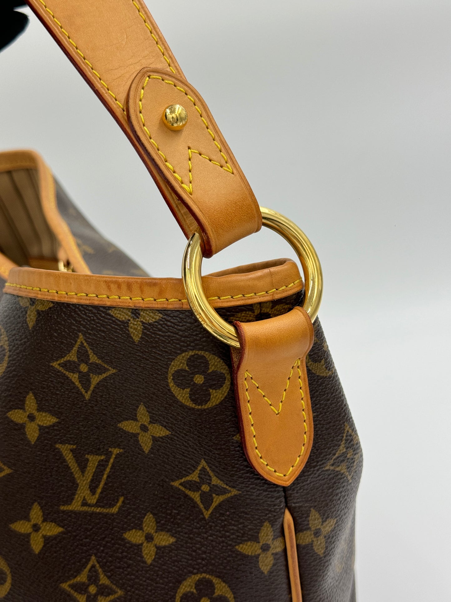 Louis Vuitton Delightful Pm / Rank A 24072004