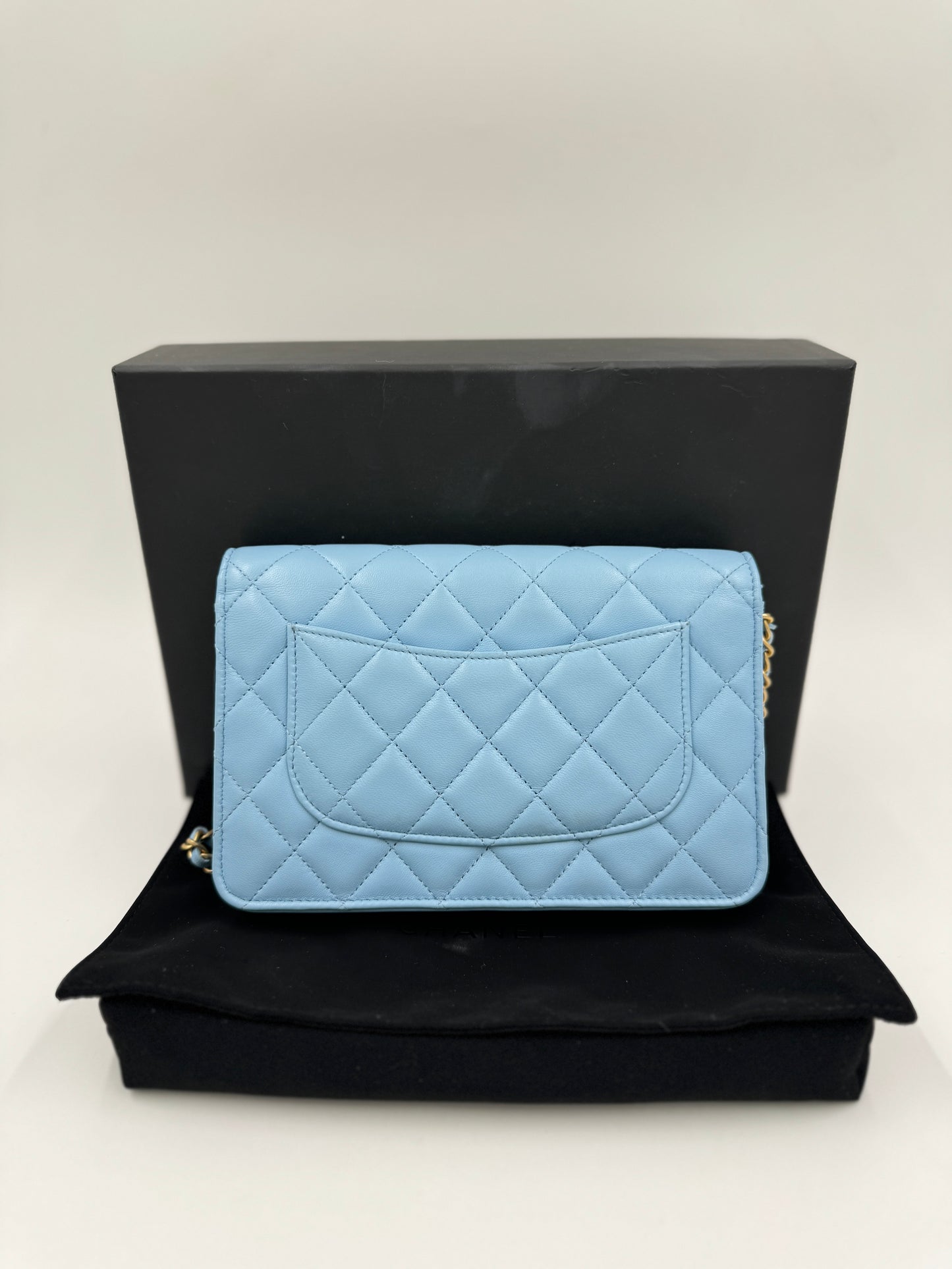 Chanel  Woc金球水藍色  /  Rank SA 24072502