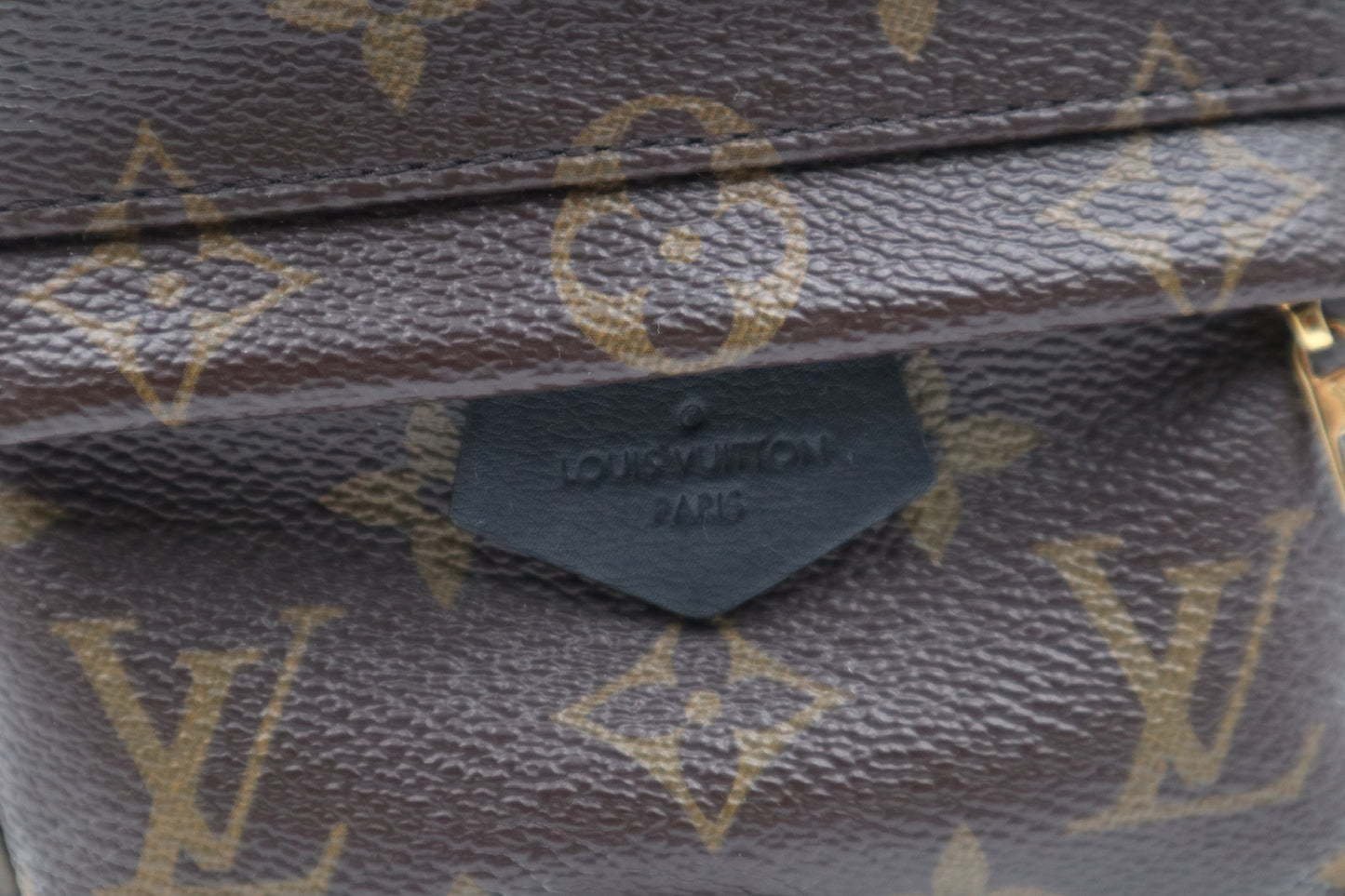Louis Vuitton   MINI Backpack 後背包 / Rank SA 251008006