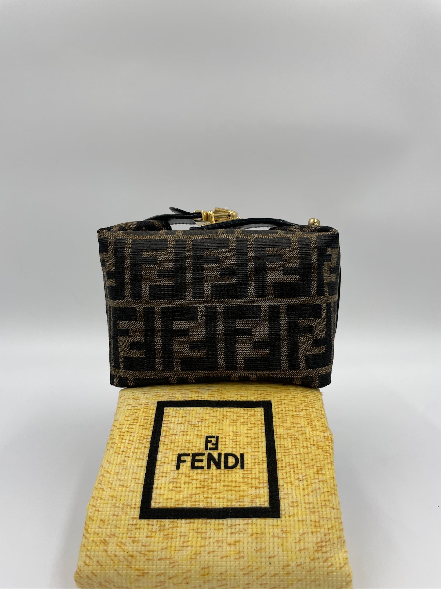 Fendi 迷你小飯盒 / Rank A