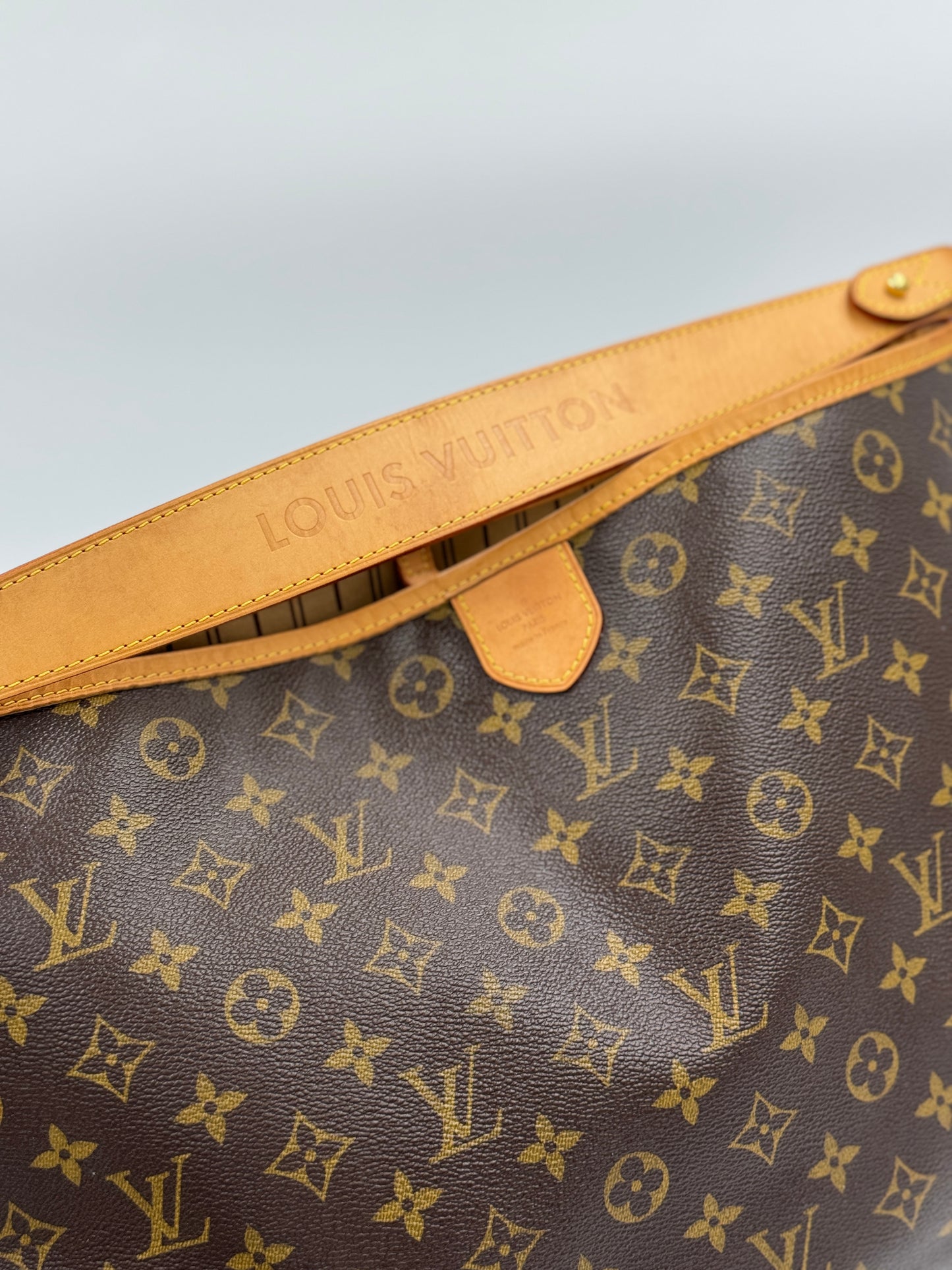 Louis Vuitton Delightful Pm / Rank A 24072004