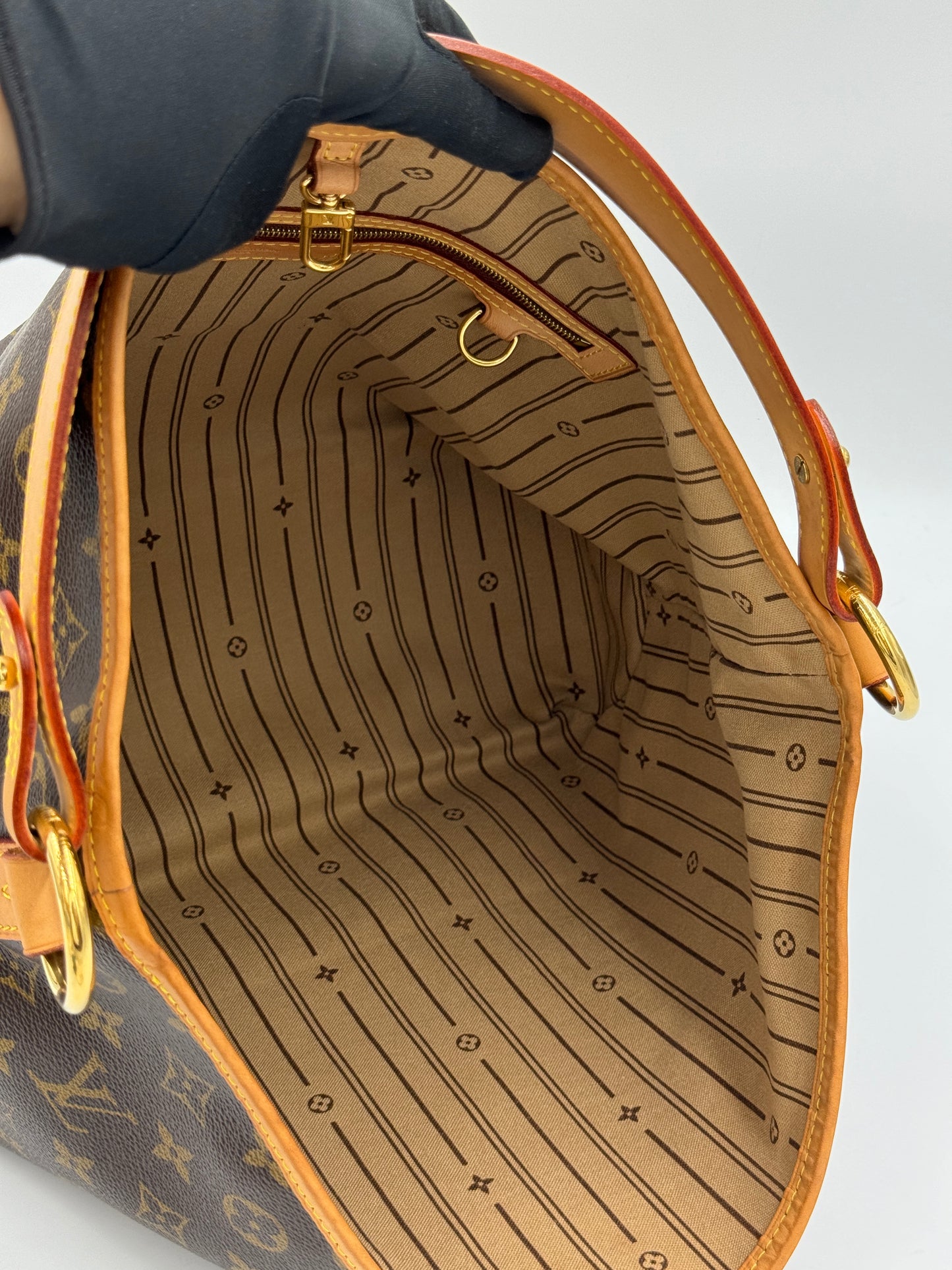 Louis Vuitton Delightful Pm / Rank A 24072004