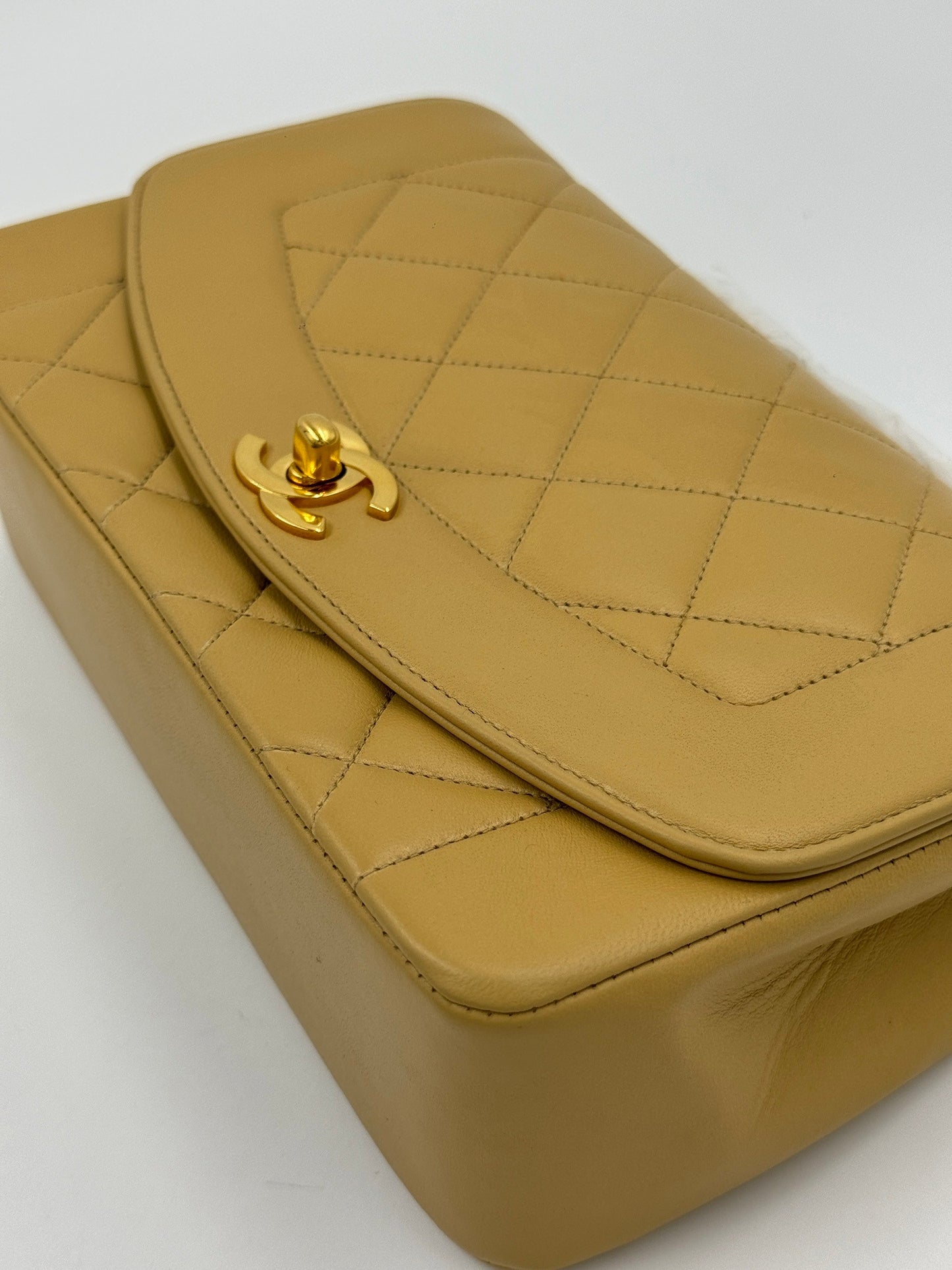 Chanel Diana 23cm bag / Rank A
