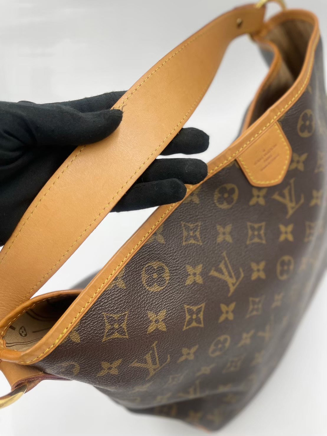 Louis Vuitton Delightful PM 肩背包 Rank A