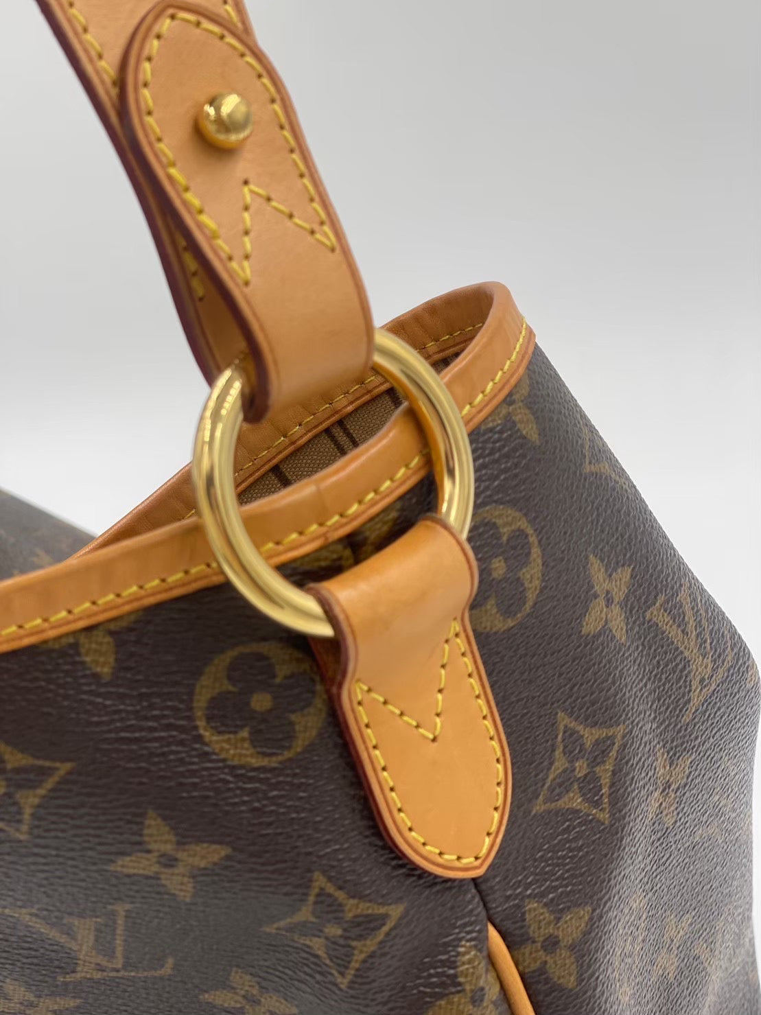 Louis Vuitton Delightful PM 肩背包 Rank A