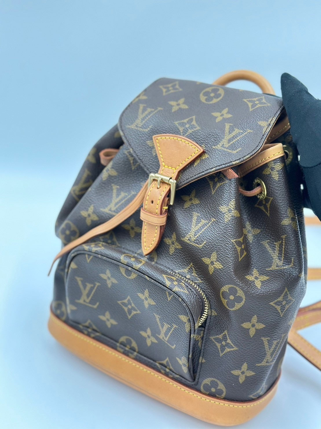 Louis Vuitton Mini Backpack 迷你後背包 / Rank A