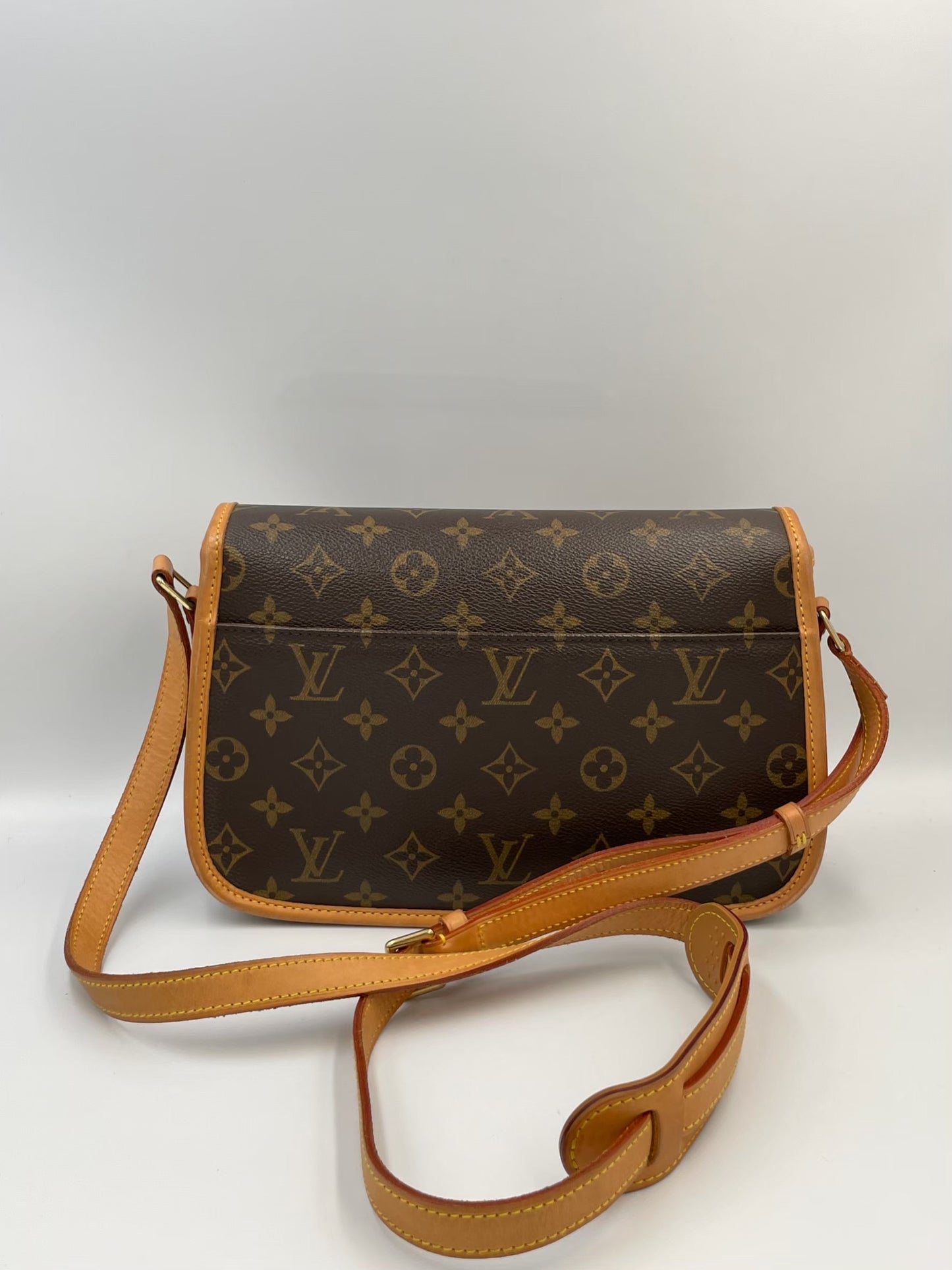 Louis Vuitton 法棍側背包 /  Rank AB