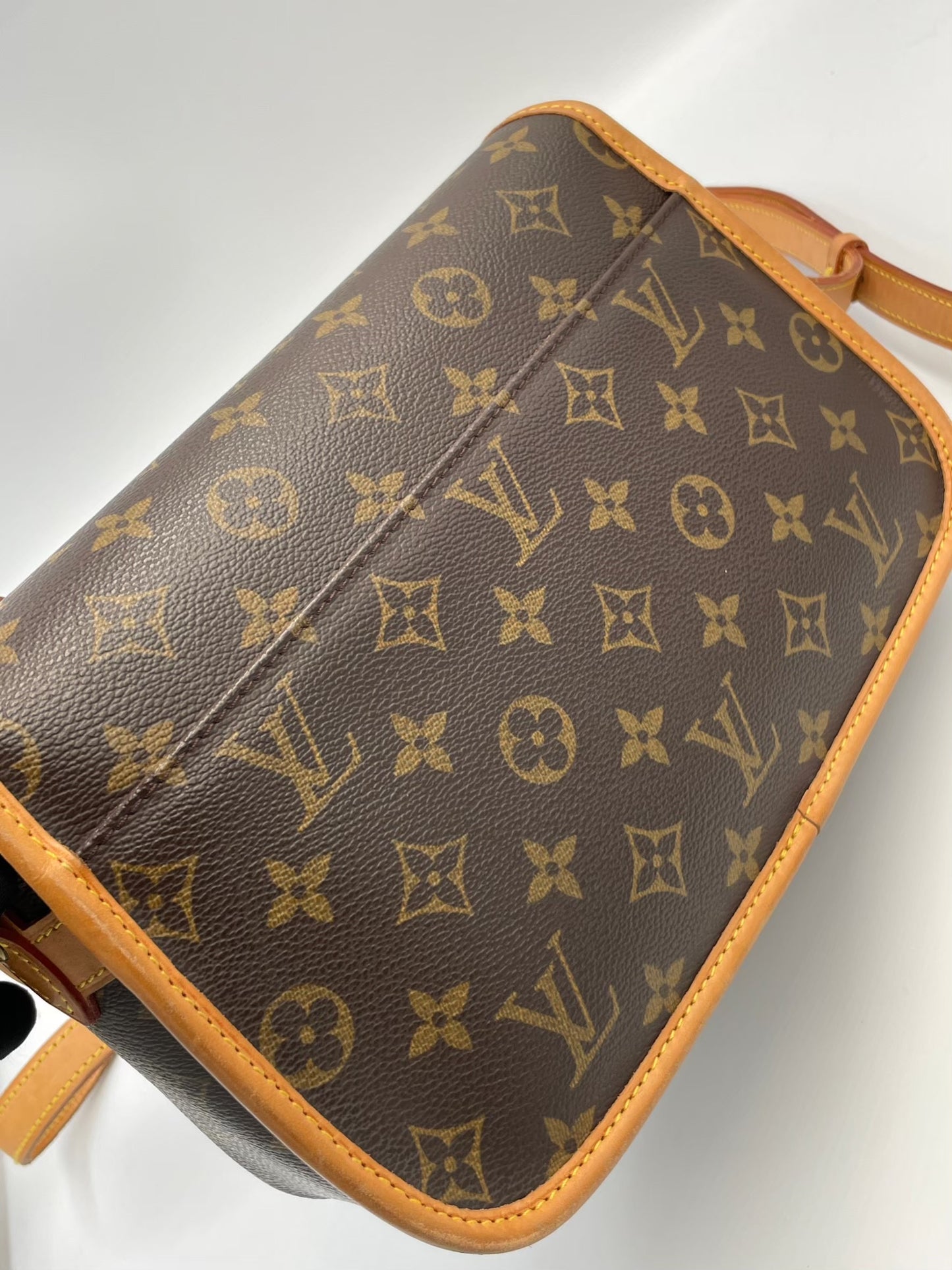 Louis Vuitton 法棍側背包 /  Rank AB