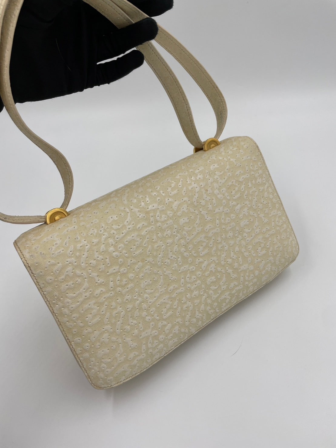 Hermes 鯨魚皮絕版款/Rank A