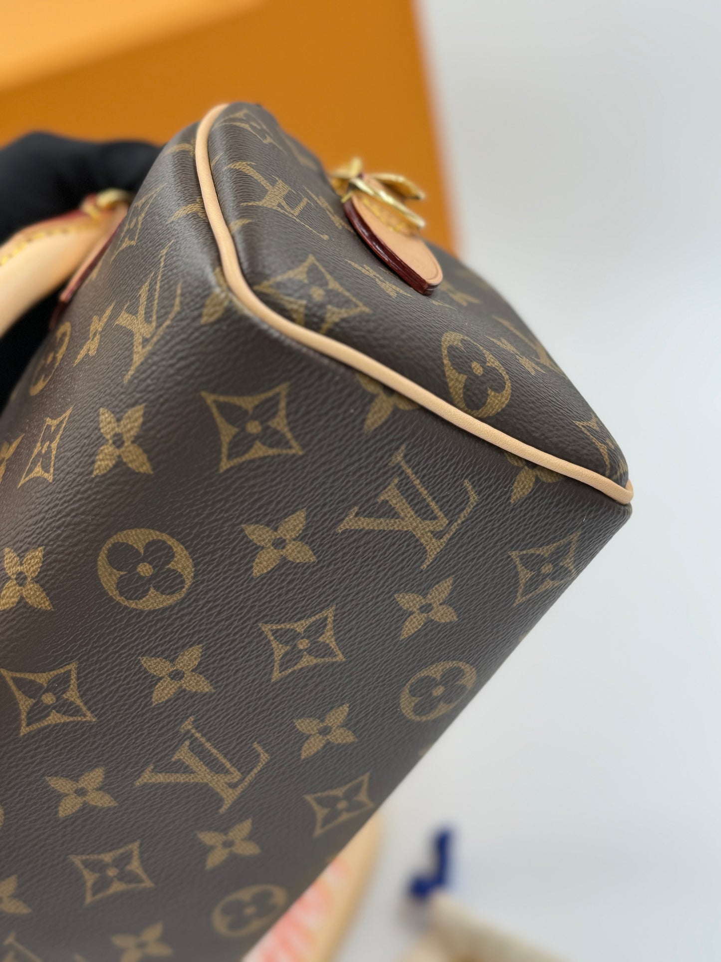 Louis Vuitton Speedy 20 M46234  / Rank N 24072018
