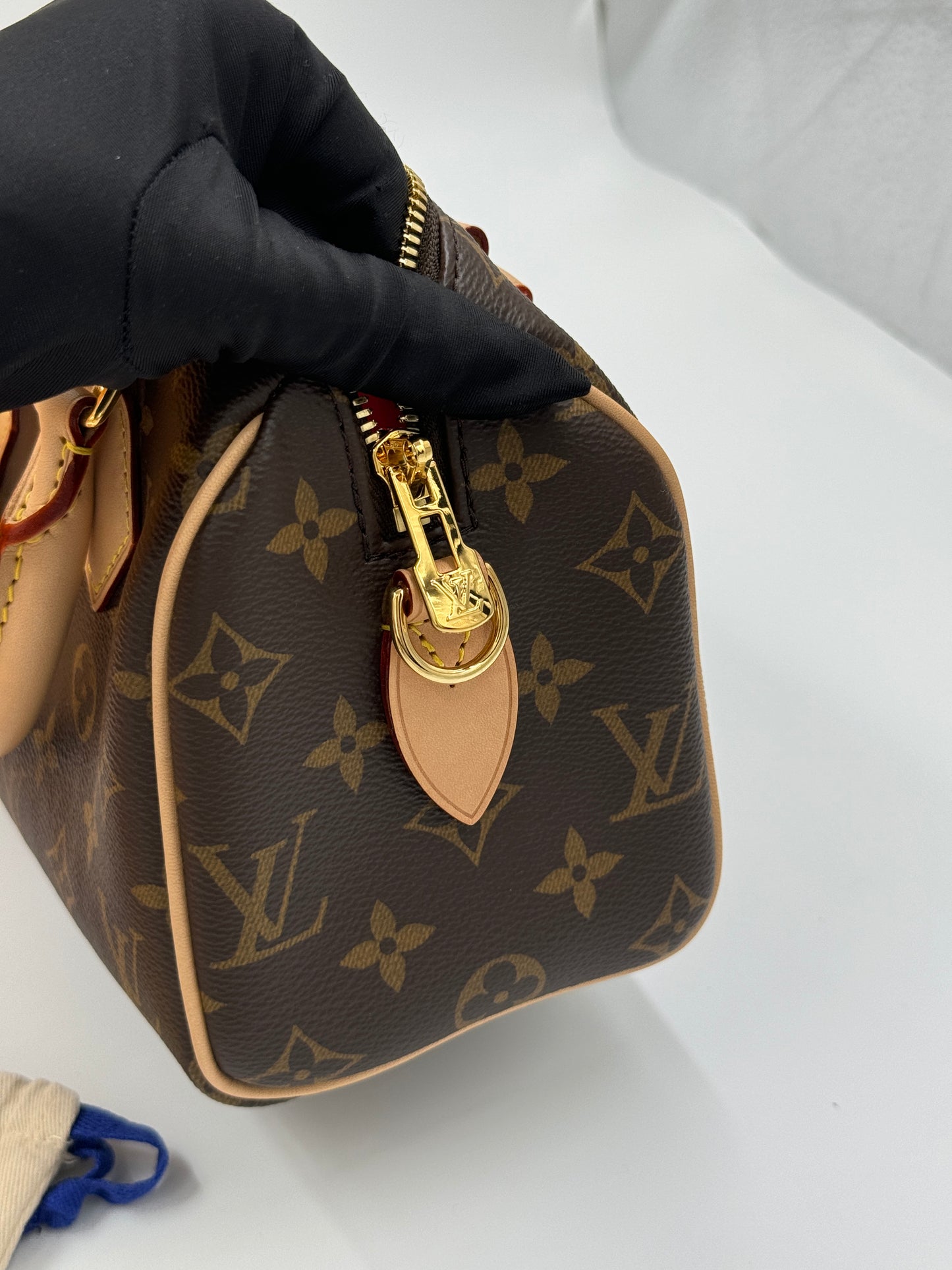 Louis Vuitton Speedy 20 M46234  / Rank N 24072018