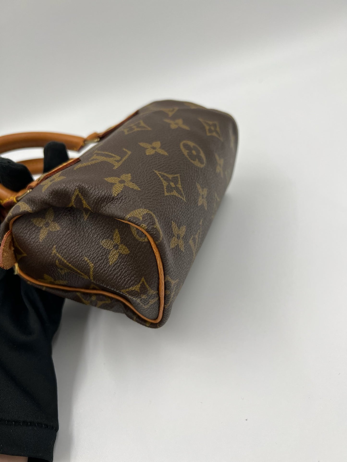 Louis Vuitton  mini speedy / Rank SA