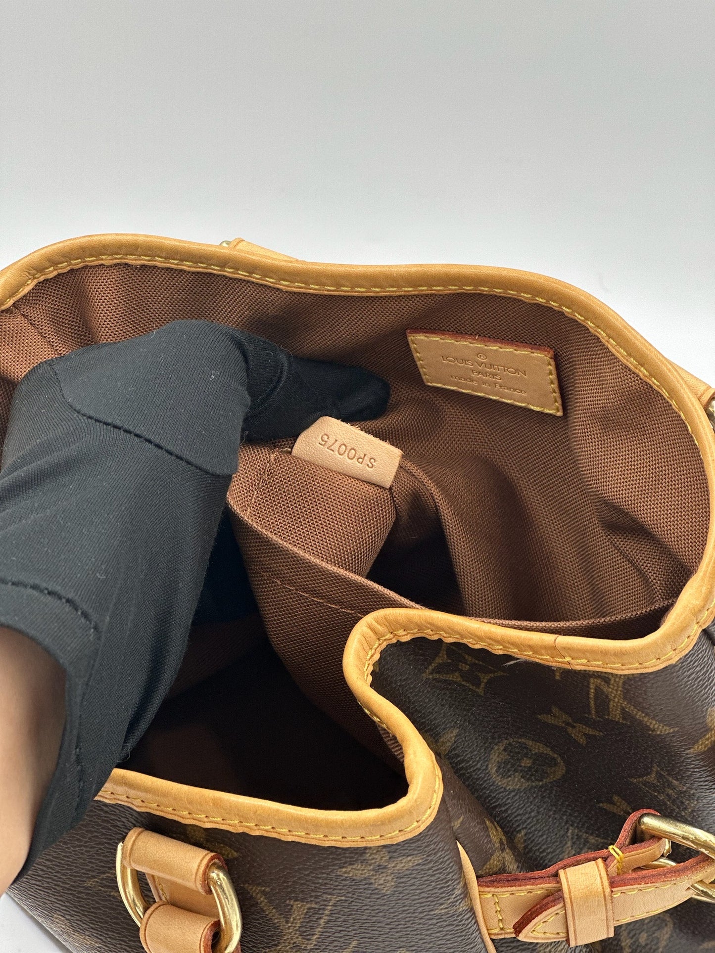 Louis Vuitton 南瓜包 PM / Rank A