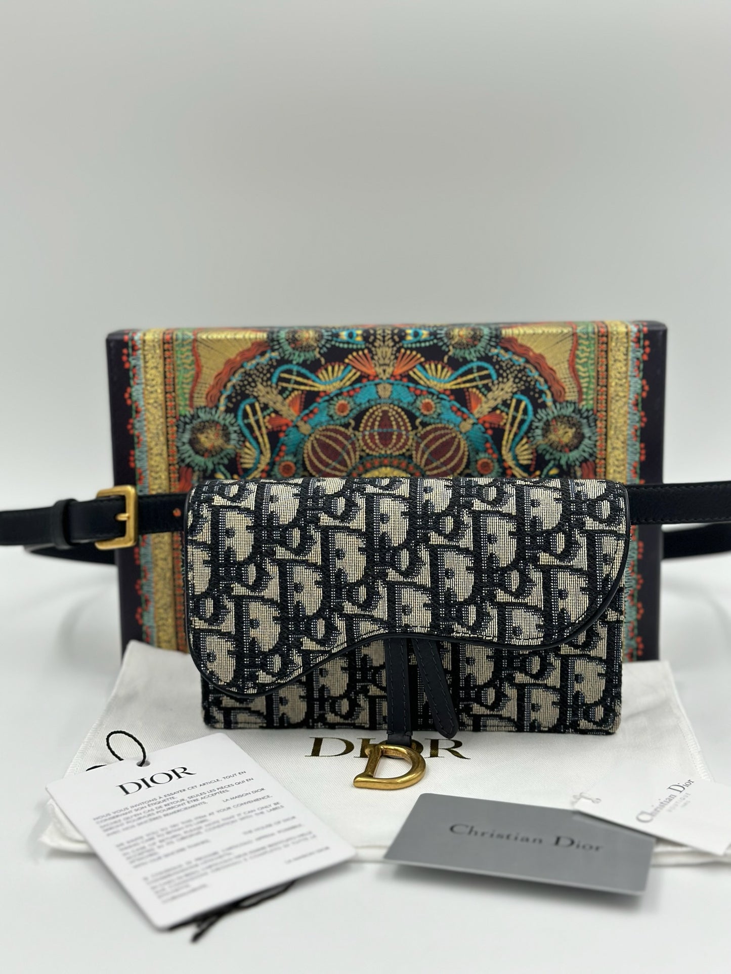 DIOR 老花腰包 / Rank SA S240411002