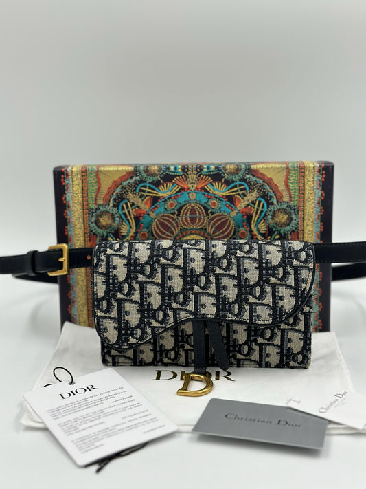 DIOR 老花腰包 / Rank SA S240411002