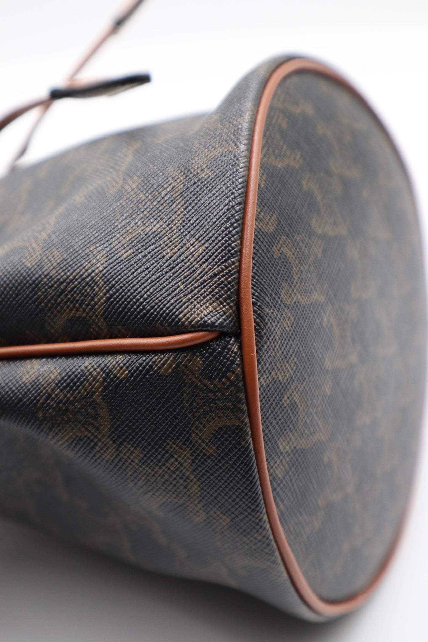 Celine Noe 水桶包  / Rank N 全新品