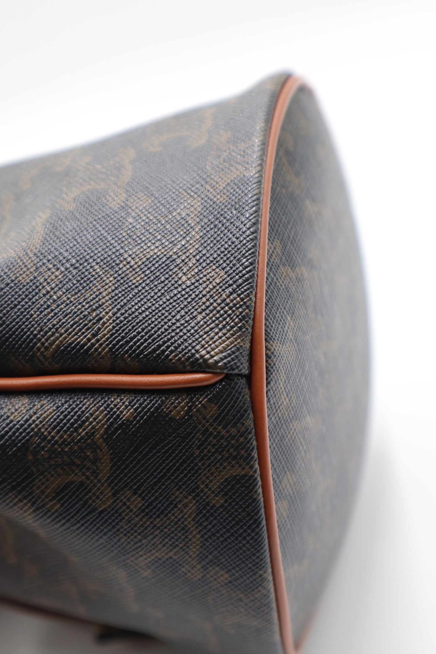 Celine Noe 水桶包  / Rank N 全新品